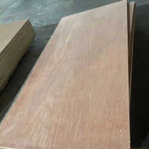 Bintangor/Okume/Superficie de eucalipto Madera contrachapada comercial Núcleo de madera dura Estilo de diseño moderno 1 año de garantía Uso en apartamento Vietnam - Product Image 1