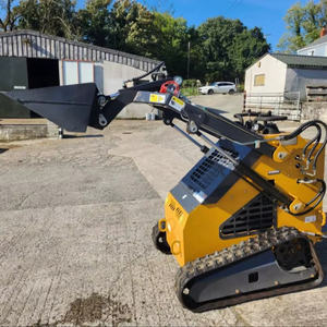 Livraison gratuite bon marché Mini Skid Steer moteur CE EURO5 EPA Skidsteer roue diesel sur chenilles Mini chargeuse sur chenilles pour tout terrain - Product Image 3