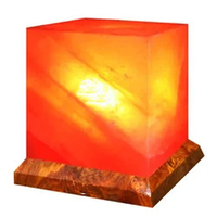 Lámpara LED USB Artesanal de Sal Rosa del Himalaya Natural, Colección de Cuencos de Fuego en Forma de Corazón y Pirámide Lunar, Purificador de Aire Moderno