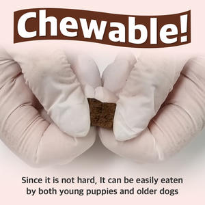 DR.BY Suplementos y vitaminas óptimos para la salud del perro 70 tabletas masticables sin carne sin colores artificiales para el cuidado del hígado del perro - Product Image 3