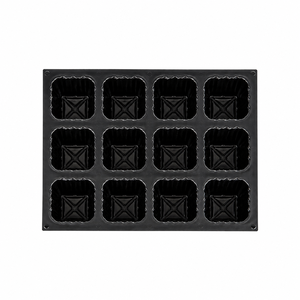 Plateau de semis pour plantes d'arboricultura, dégradable, 12 trous, en plastique, profond, pour pépinière - Product Image 3