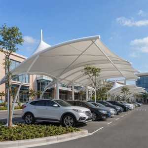 <span class=keywords><strong>Struttura</strong></span> Personalizzata per Tettoia/Pergola in Membrana PVDF Architettonica per Parcheggio Esterno - Product Image 3