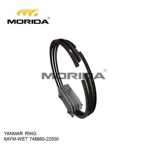 Vanne EX pour YANMAR, 14862011110 - Product Image 5