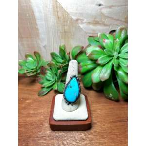 Zachariah David Men's Romantic <b>Adjustable</b> <b>Ring</b> Blue Bird Turquoise Platinum Oval Cut Sterling Silver Platinum Everyday Wear - Product Image 1