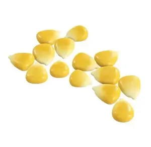 Желтые ядра попкорна, упаковка в стиле сладкого ядра, 5 кг, 20 тонн, 15 дней, желтые попкороны