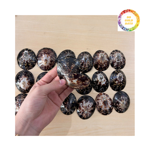 เปลือก limpet แวววาวเพิ่มความแวววาวให้กับการตั้งค่าการตกแต่งและธีมภายใน - Product Image 5