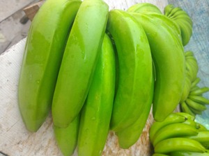 Plátano Cavendish fresco estándar de exportación con cultivo común de calidad superior de Vietnam-Venta caliente 2024 - Product Image 2