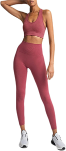 Conjunto de entrenamiento para mujer, conjuntos de 2 piezas, mallas de Yoga sin costuras con Sujetador deportivo, camiseta sin mangas, conjuntos de gimnasio, conjuntos a juego, varios colores - Product Image 5