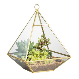 Nouveau design Pyramide suspendue en verre transparent fini or brillant Terrarium Jardin Mousse Plantes d'air Plantes succulentes décoratives Déco - Product Image 1