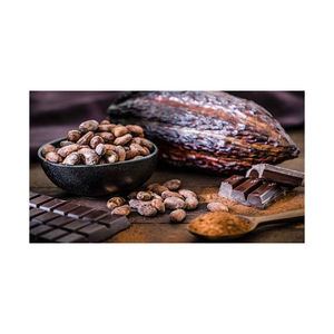 Chất Lượng Tốt Khô Lớp Một Hạt Ca Cao Bột Ca Cao Bơ Ca Cao/Cacao/Sô Cô La Đậu - Product Image 6