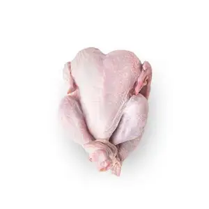 Harter Körper Gefrorenes ganzes Huhn Stil Verpackung Art Feature Gewicht Regal Herkunft Typ Leben Heizung Öffnung