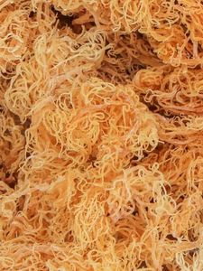 Embalaje de bolsa sazonada de alta calidad para Wildcrafted Eucheuma Cottonii Nori Sea Moss algas frescas secas con proceso de secado de anuncios - Product Image 4