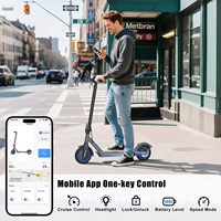 ES8501-BL Trottinette Électrique Pliante pour Adulte, Vélo Électrique Rapide 25km/h, Modèle 350W, Prix de Gros Direct Usine