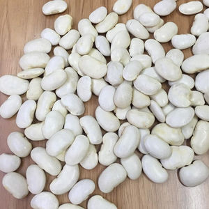 Export Quality White Kidney <b>Beans</b> Bulk Supplier Worldwide - Product Image 6