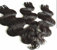Ekstensi Rambut Manusia Keriting Alami Indian Virgin Pelipis Tidak Diproses Kutikula Rambut Berikat-ikat Rambut Tidak Rontok Pengiriman DHL Gratis