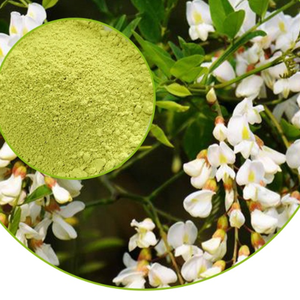 SUMINISTRO DE FÁBRICA DE VIETNAM CON BUEN PRECIO EXTRACTO DE SOPHORA JAPONICA QUERCETIN 98% CAS 117-39-5 - Product Image 6