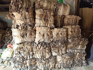 เนื้อกล้วยสะอาดและมีความยืดหยุ่นอบแห้งภายใต้แสงแดด - Product Image 6