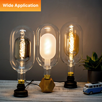 Ampoule LED vintage à filament en spirale en verre fumé de grande taille à double ampoule au design unique, intérieur 110-130V DG150 E26, lumières décoratives en verre