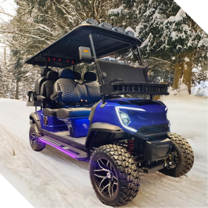 Transport City Small Remote 5000W Mini voiturette de golf électrique 4 places de luxe unique - Product Image 4