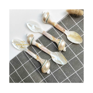 ช้อนเปลือกหอยรักษ์โลก ช้อนเปลือกหอยธรรมชาติสำหรับกาแฟ ชา และของหวาน - Product Image 3