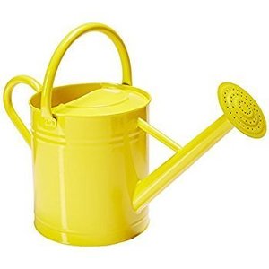 Regadera de Metal decorativa con logotipo personalizado al por mayor, maceta colorida recubierta de polvo para jardín e interior - Product Image 5