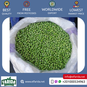 ถั่วเขียวแช่แข็งจากอียิปต์รสชาติอร่อยและยอดเยี่ยมส่งตรงจากผู้ผลิตจากแหล่งกำเนิด - Product Image 4