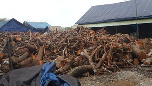 Premium Vietnam Khaya Black Charcoal Supplier for Wholesale and Global Export - Product Image 4
