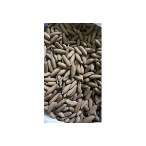 เปลือกสนธรรมชาติสำหรับใช้เป็นอาหารถั่วสนแห้ง100% จากธรรมชาติ - Product Image 6