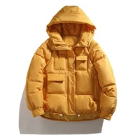 Blouson d'hiver pour homme, col montant, broderie frontale, à capuche, réversible, personnalisable, qualité supérieure, vente en gros
