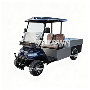 Voiture de golf électrique tout-terrain 5-6 places homologuée pour la route, nouvelle génération 2025, avec batteries au lithium haute performance - Product Image 1