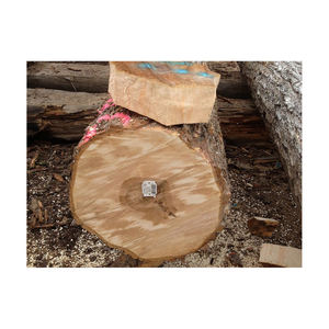 Leña secada al horno de alta calidad, madera mixta de haya y roble, Material de cambio de fase, tronco de haya a la venta - Product Image 4