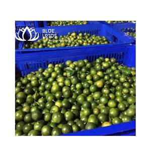 Puree de zumo, fruta fresca, alta calidad - Product Image 1