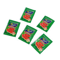Jus vert Offre Spéciale Fit Detox Perte de poids Sachet de jus instantané Poudre Pastèque Saveur Jus de fruits Boisson diététique