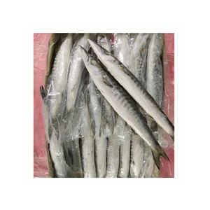 Pescado Barracuda Congelado Premium disponible a precio de fábrica para suministro a granel y comercio mayorista - Product Image 3
