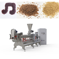 Extrudeuse automatique de production de riz artificiel de nutrition populaire Riz enrichi de nutrition faisant la machine