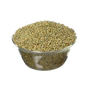 Millet vert pour l'alimentation animale disponible en Inde - Product Image 2