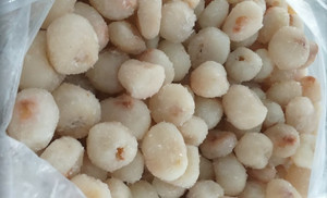 Lichi congelado Premium de Vietnam con tecnología IQF a buen precio y proveedor confiable de Vietnam - Product Image 3