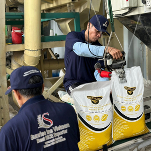 Arroz Calrose de Vietnam de Grano Mediano AD, Seco, de la Más Alta Calidad, Directo del Fabricante, Arroz Camolino de Grado Premium, el Mejor - Product Image 6