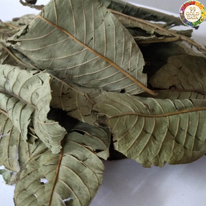 Hoja de Guayaba Seca de Material Seleccionado, Suministro de Vietnam, para Extracción de Té Suave y Mejora del Aroma en Alimentos - Product Image 6