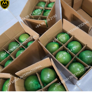 POMELO FRESCO/Citrus maxima DE VIET NAM - Product Image 4