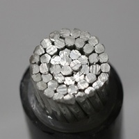 Einadriges 70mm 95mm 120mm 150mm 185mm 300mm² NA2XY Aluminium XLPE-isoliertes PVC-ummanteltes Kabel