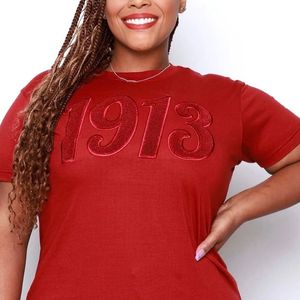 T-shirt brodé en chenille 1913 solide Vêtements de sororité en coton de qualité supérieure DST Vêtements grecs T-shirt de style patrimoine neutre - Product Image 3