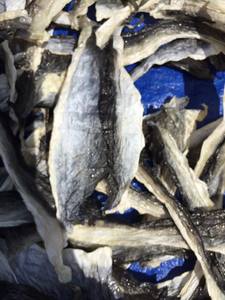 กระเป๋าหนังปลาผิวแห้งจากเวียดนามสำหรับผลิตภัณฑ์คอลลาเจนส่งออก - Product Image 3