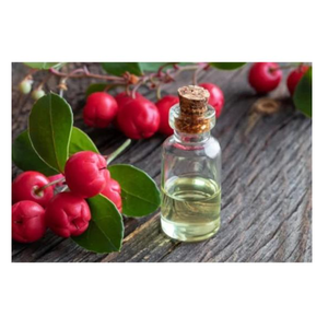 น้ำมันหอมระเหยจากกอลเทเรียธรรมชาติบริสุทธิ์สำหรับบรรเทาอาการปวดกล้ามเนื้อผ่อนคลายน้ำมันหอมระเหยนวดต้านการอักเสบดูแลผิว - Product Image 4