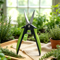 Ensemble de 2 sécateurs de jardin en acier SK5, ciseaux à cisaillement avec lames de précision pour fleurs, plantes et arbustes