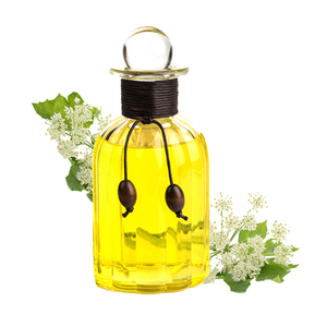 Nueva Venta caliente 100% Raíz de Angélica orgánica pura extraída altamente fragancia aceite de Angélica - Product Image 2