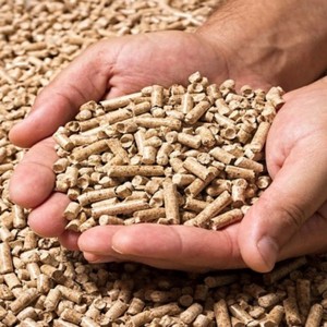 Vente en gros de granulés de bois de haute qualité à prix compétitif granulés de carburant du Vietnam - Product Image 3