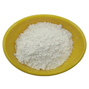 Poudre de carbonate de calcium micronisée pour la production d'adhésifs thermofusibles et de produits d'étanchéité - Product Image 1