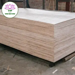 热更新硬木建筑和房地产相思桉树芯高质量尺寸包装胶合板越南