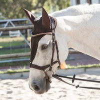 Brida para Caballo de Cuero Genuino - Herrajes de Acero Inoxidable/Latón con Logotipo Personalizado, Tamaño Personalizado, Embalaje, Opciones Multicolor, Marca Personalizada, Uso Ecuestre